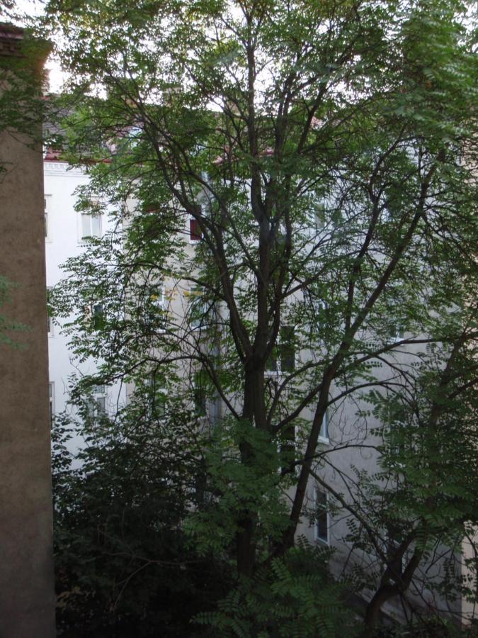 Augartenblick Penthaus 17 - Blick Zum Riesenrad Wien Eksteriør billede
